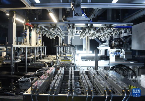 創新驅動 安全護航——浙江仙居醫療器械與安防設備技術開發共促高質量發展